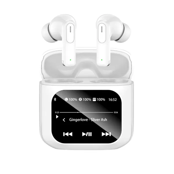 Q30N ANC Earphones