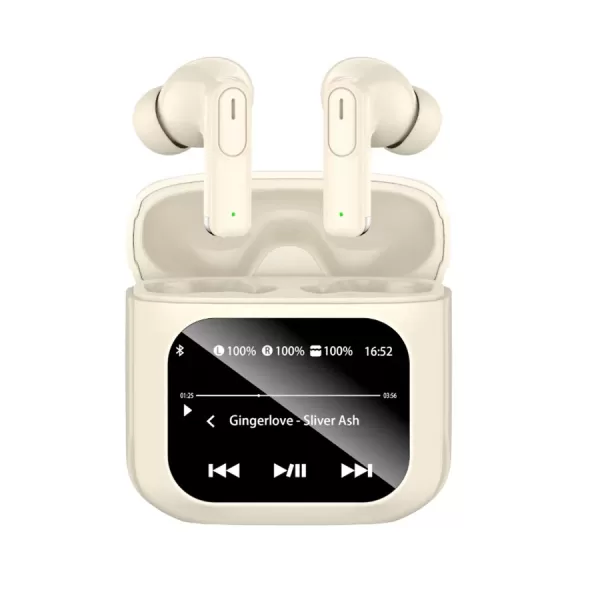 Q30N ANC Earphones
